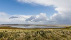 009 - 20170912 - Langeoog - _MG_5668