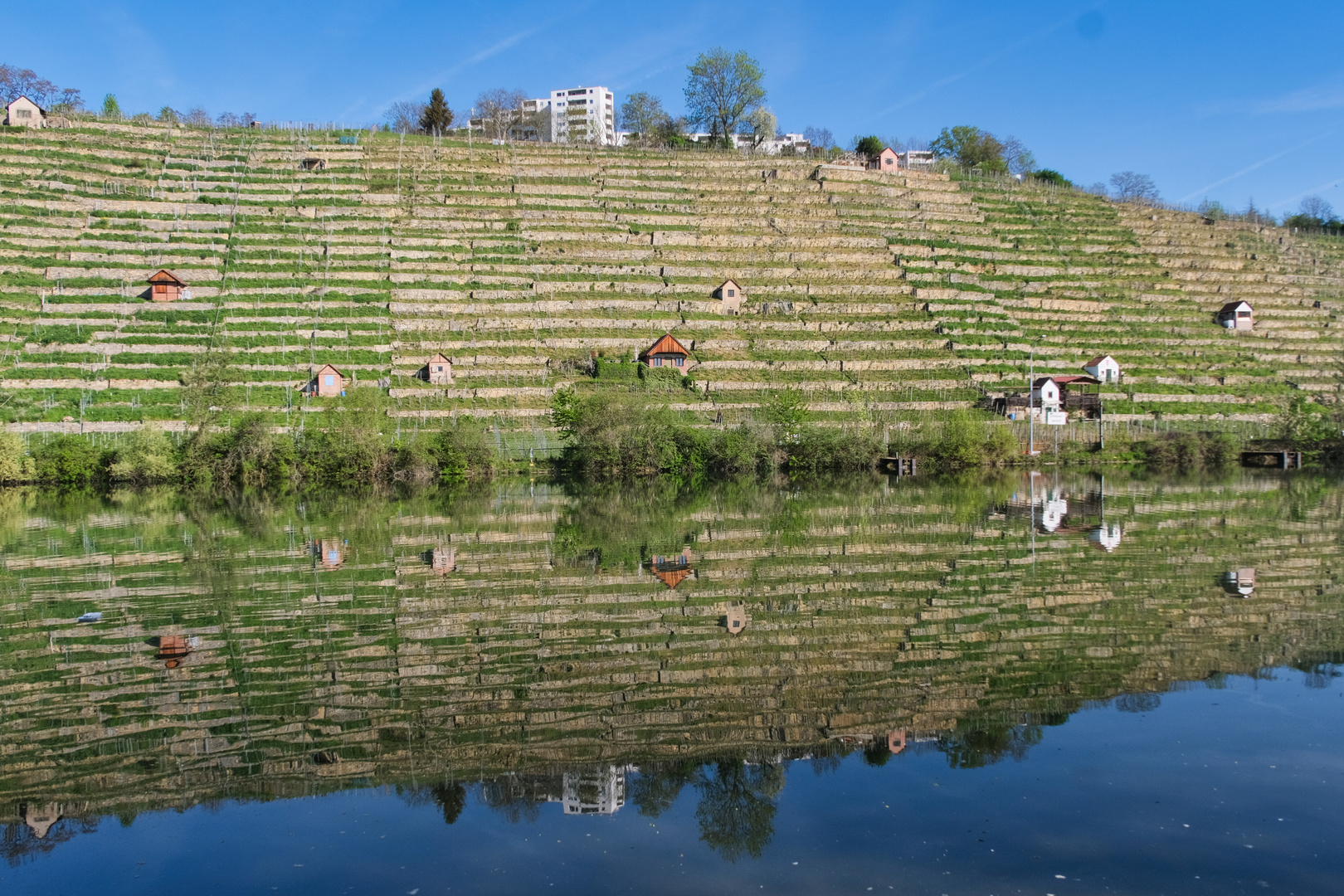 0090HF - Blick über den Neckar