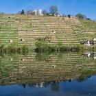 0090HF - Blick über den Neckar