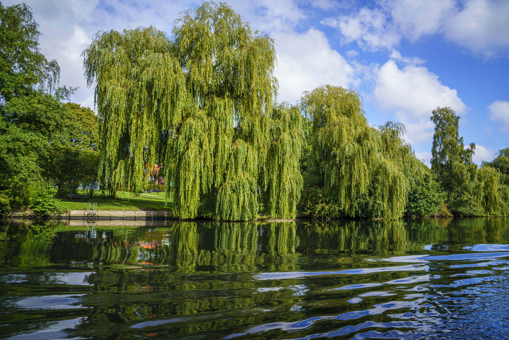 0094_DSC4397_Hamburg_20201003