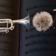 Trumpet, breath and dandelion