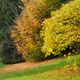 Herbst im Stadtgarten