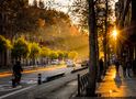 Una mañana de Madrid de JUAN CARLOS LOPEZ CHAOS 