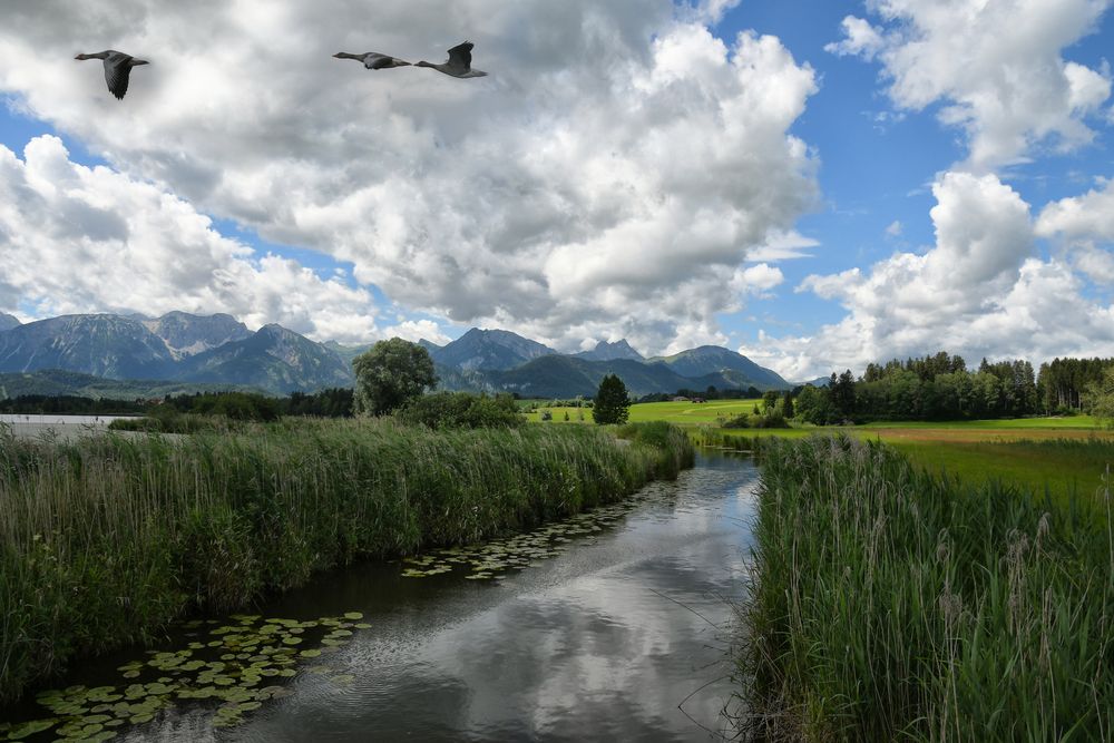 00füssen050