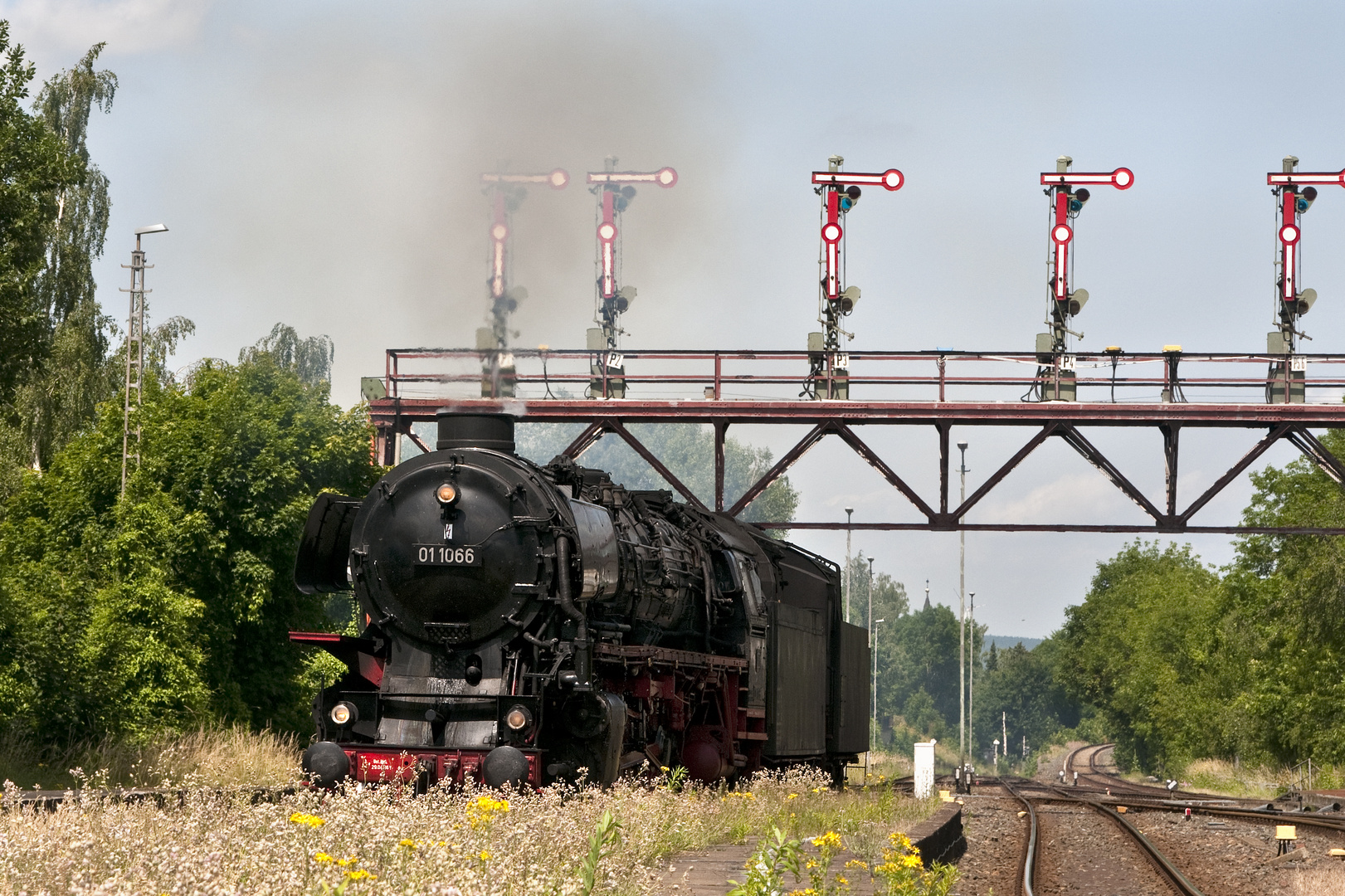 01 1066 am 30.06.2012 in Bad Harzburg - Sonderzug Westfalendampf