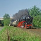 01 1100 mit DZ  "Schimmelreiter" Hamburg-Westerland bei Padenstedt