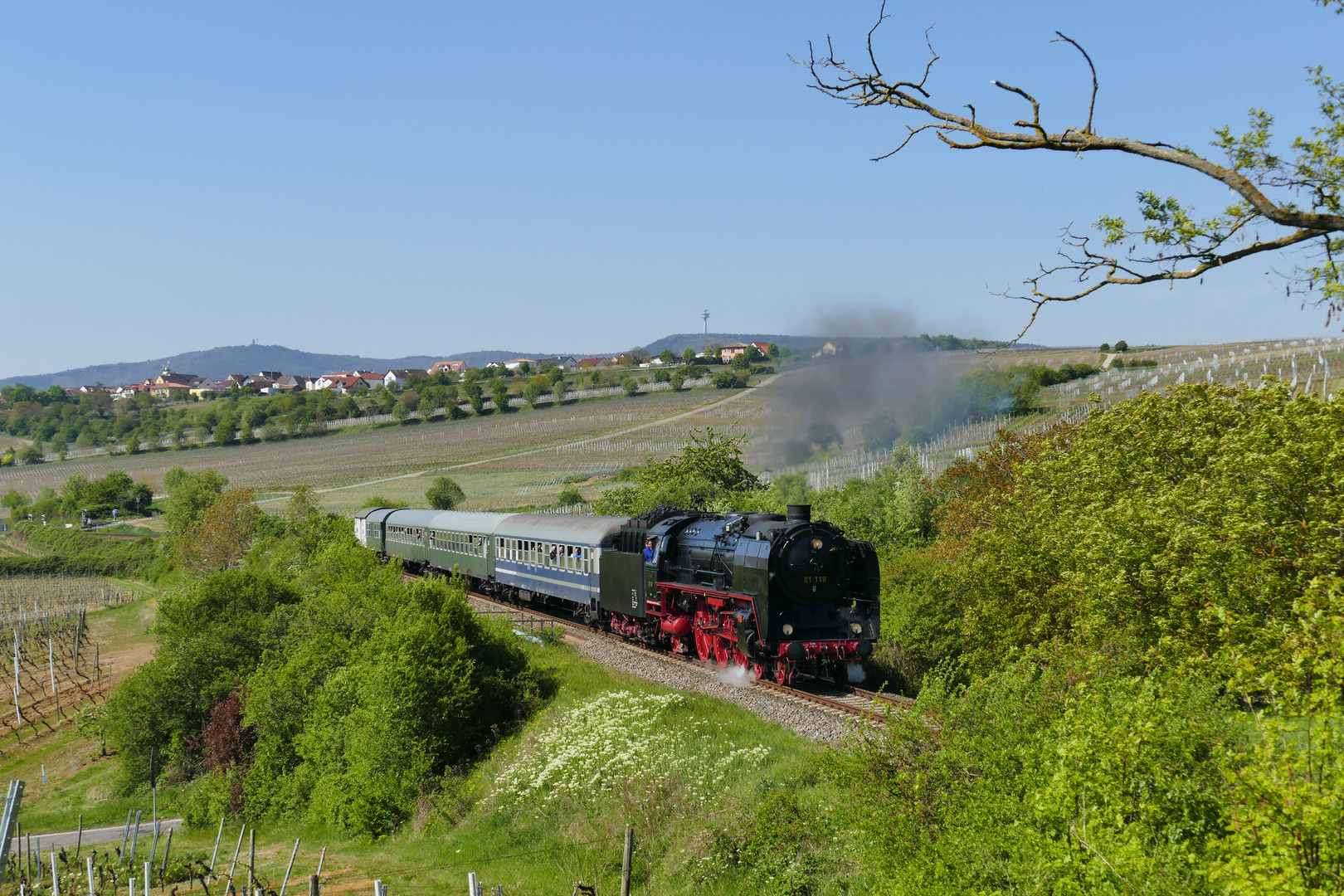 01 118 bei Dackenheim-Hauptschuß-