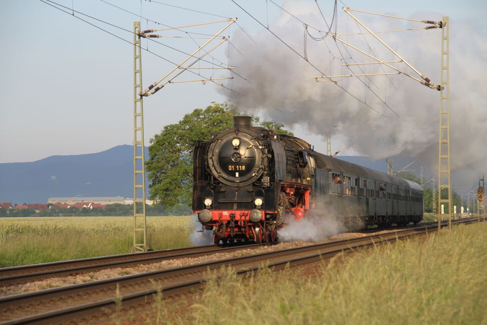 01 118 beim Plandampf Pfalz 2014