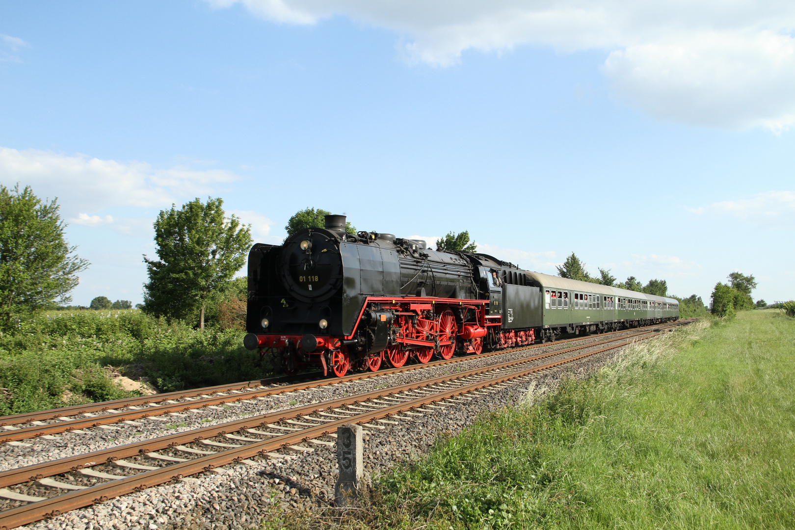 01 118 beim Plandampf Pfalz 2014 kurz vor Neustadt (Weinstraße )