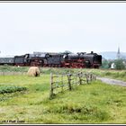  01 137 diesmal vor unserer 01 1531 nun auf der Saalebahn