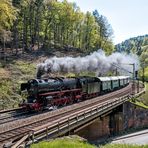 01 202 auf der Pfalzbahn - I -