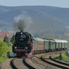 01 202 bei Edesheim in der Vorderpfalz