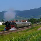 01 202 bei Edesheim/Pfalz