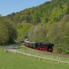 01 202 bei Waldfischbach Burgalben