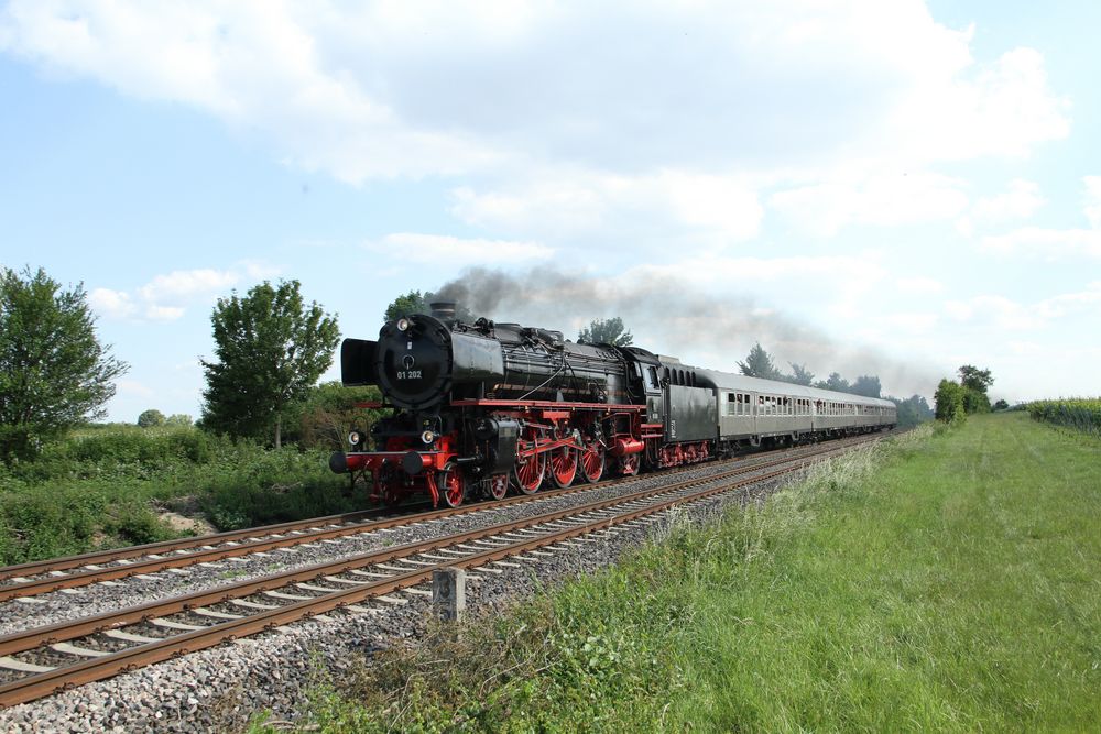 01 202 beim Plandampf Pfalz 2014 kurz vor Neustadt (Weinstraße )