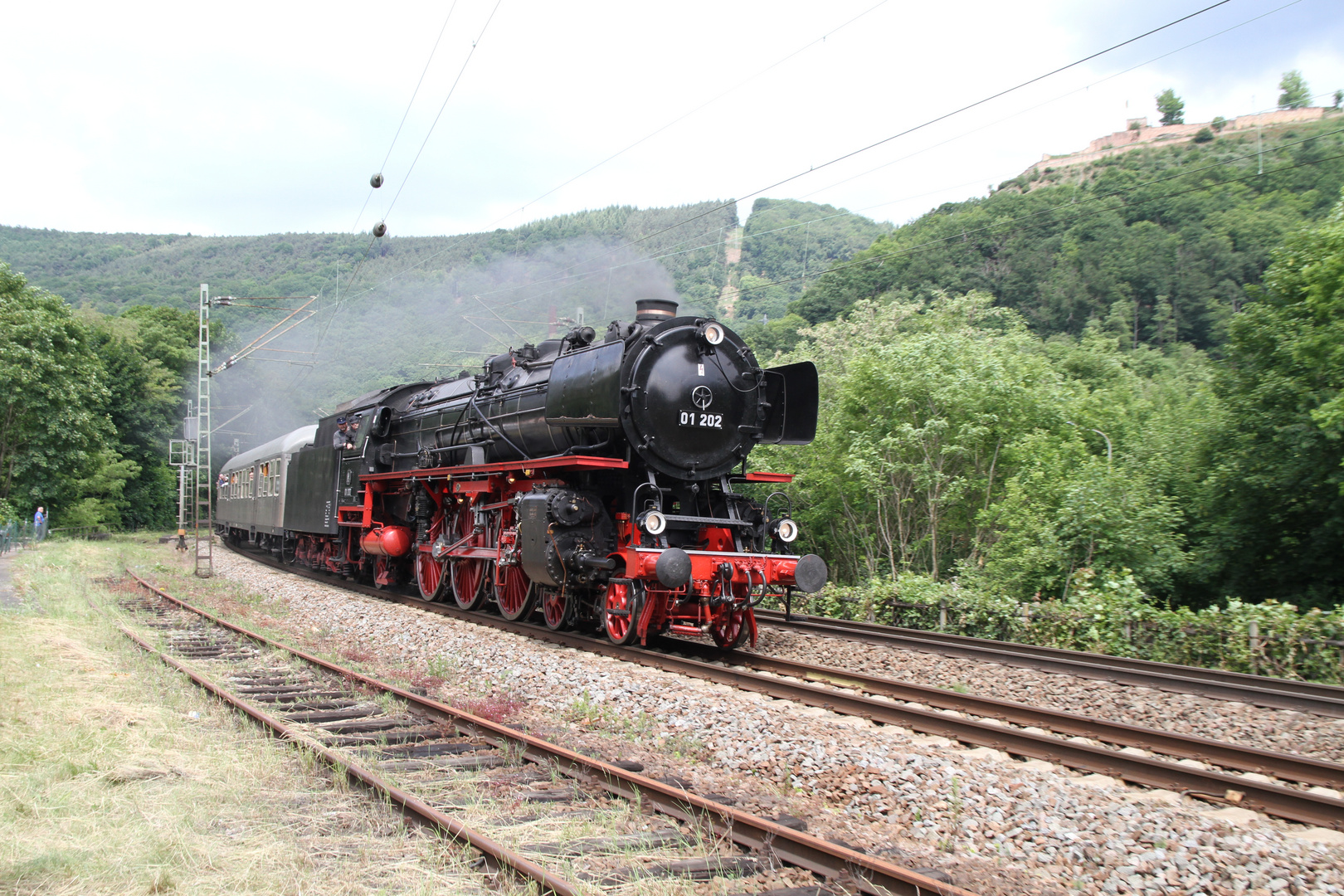 01 202 beim Plandampf Pfalz 2014 kurz vor Neustadt (Weinstraße ).