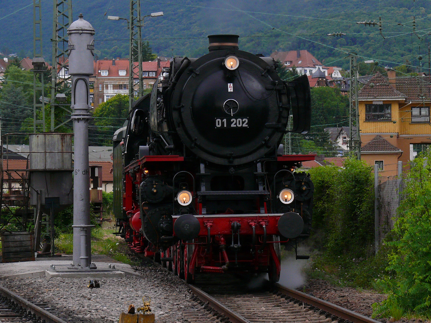 01 202 im Bw Neustadt/Wstr.