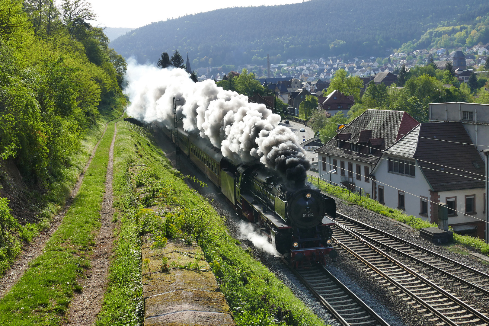 01 202  im Pfälzerwald