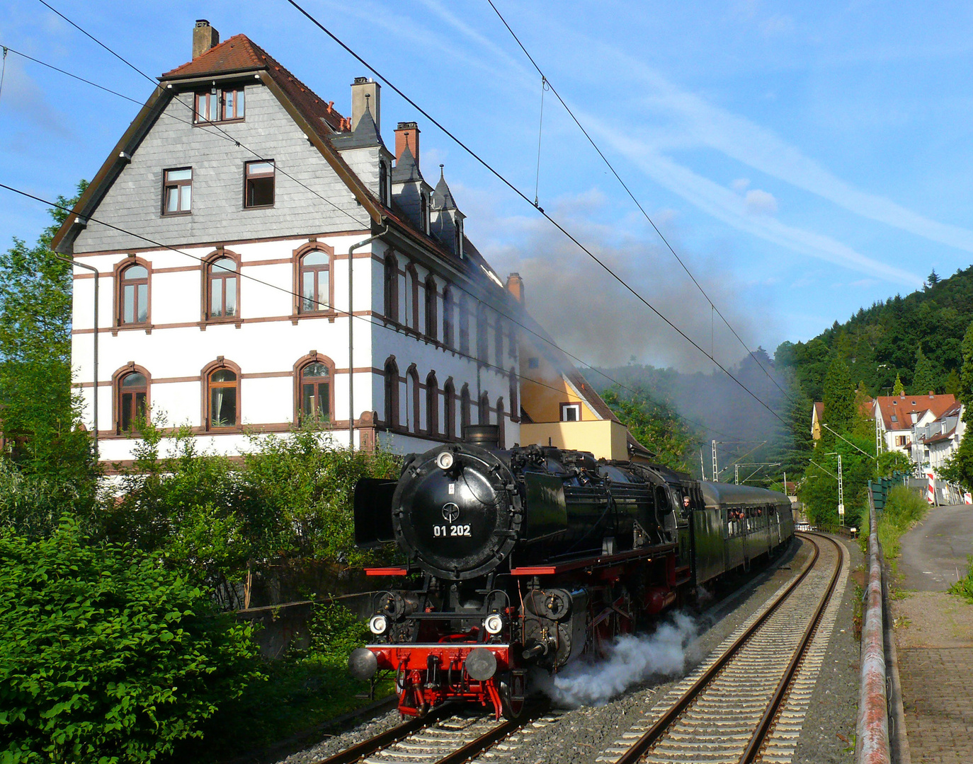 01 202 in Schlierbach Ziegelhausen