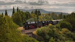 01 519 und 52 8195 im spätsommerlichen Gegenlicht