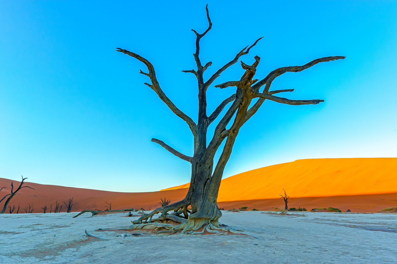 01. Deadvlei