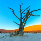 01. Deadvlei