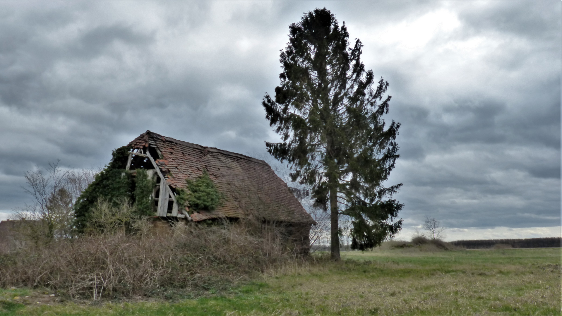 01 Lost Places - Altkreis Delitzsch