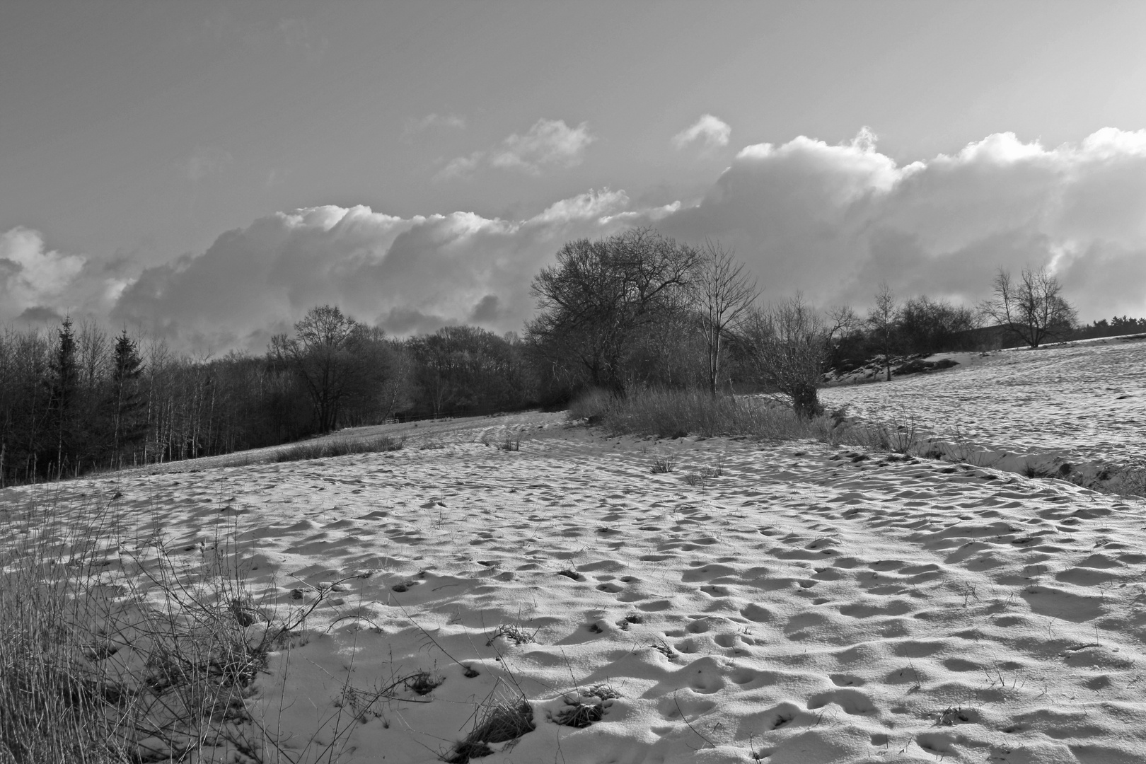 01 Schneefeld im Knüll