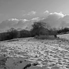 01 Schneefeld im Knüll