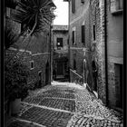 01 Sermoneta 1b bw