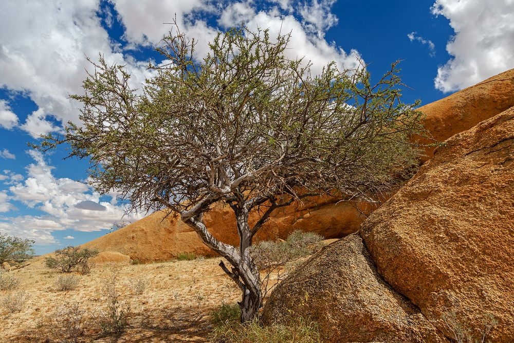 01. Spitzkoppe