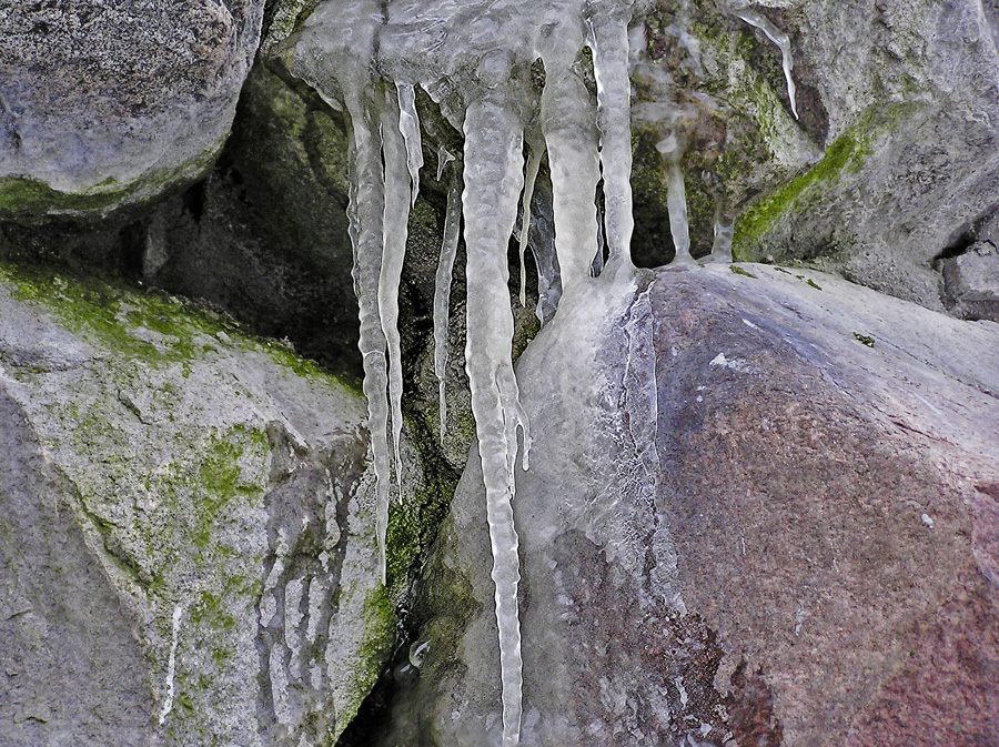 (01) Winterspaziergang...