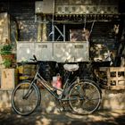 010- Beijing - Hutong