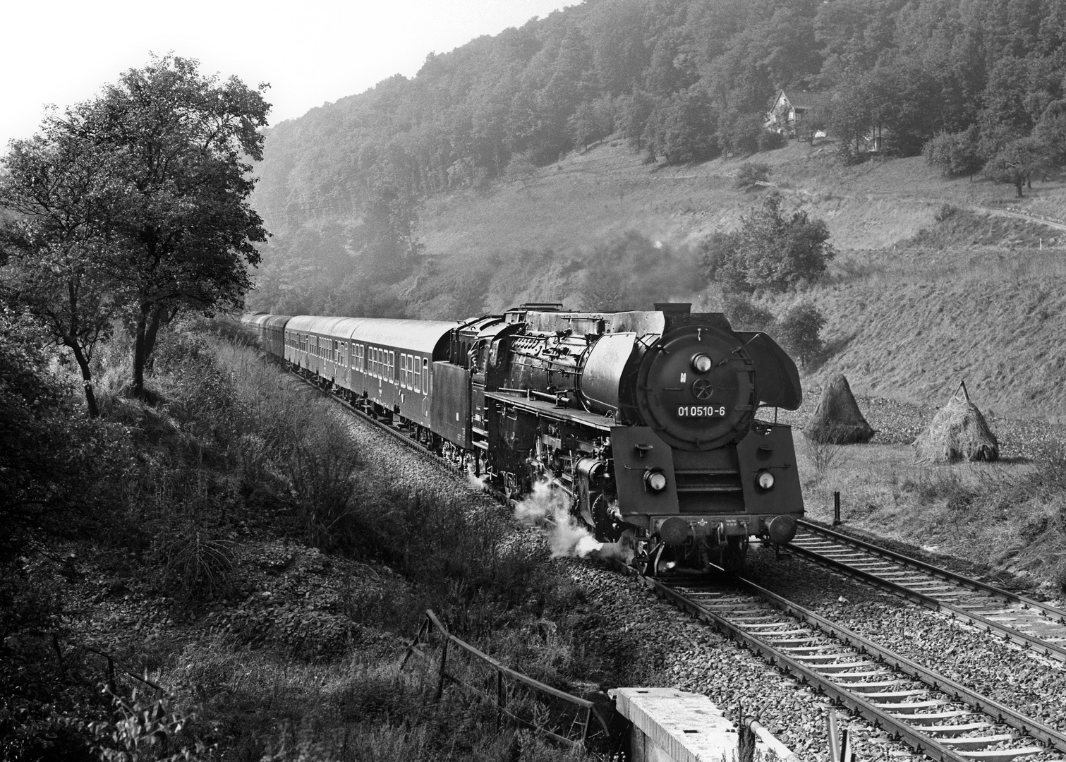 010510 mit Schnellzug auf der Saalebahn 1980