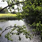 01.07.2020 Lernschwimmteich im Sommerkleid