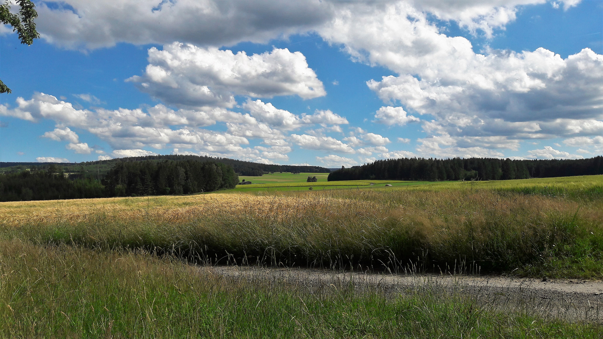 01.07.2020  Sommerblick zum magnetisierten Haidberg Da rotiert jede Kompassnadel !