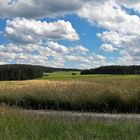 01.07.2020  Sommerblick zum magnetisierten Haidberg Da rotiert jede Kompassnadel !