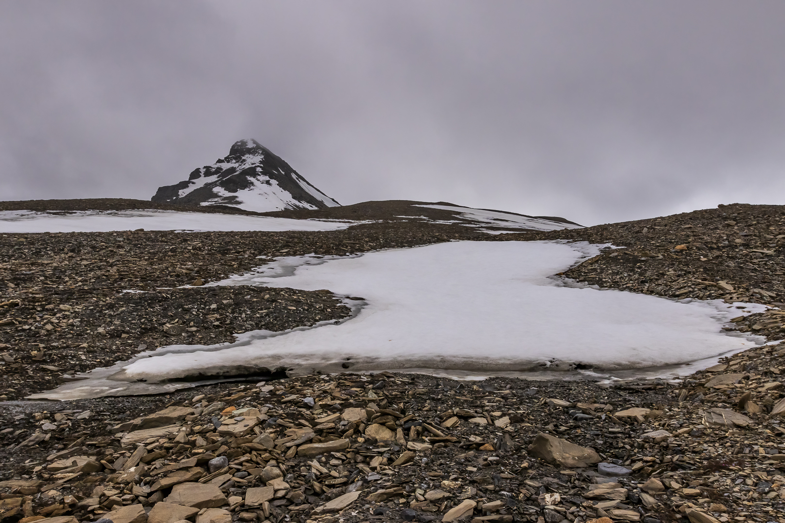 011-20230623 - Spitzberge-St. Jonsfjorden+Gjersenodden - CS8A5324-Bearbeitet