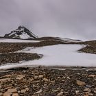 011-20230623 - Spitzberge-St. Jonsfjorden+Gjersenodden - CS8A5324-Bearbeitet