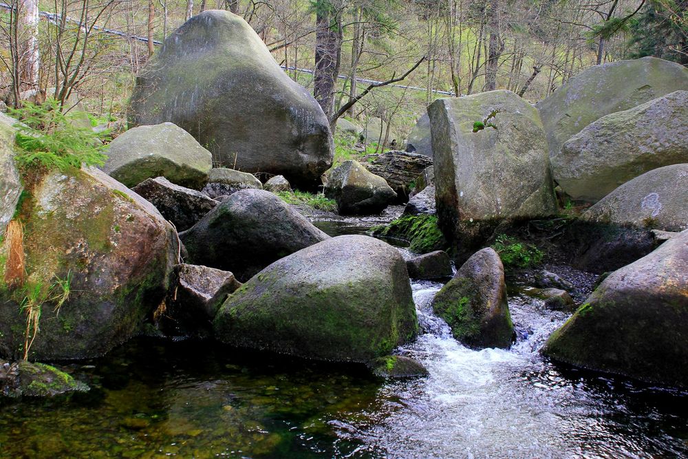 011 Sommer und Wasser