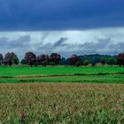 01.10.2017 kein Wetter zum fotografieren - oder doch ?