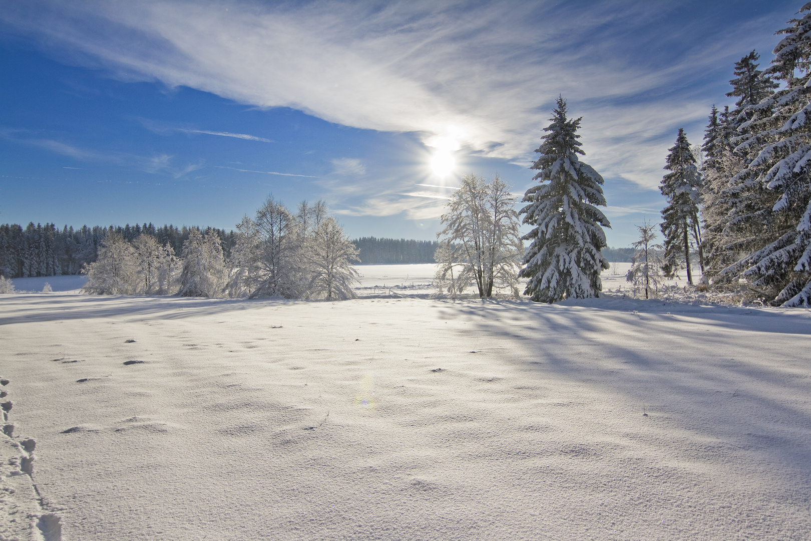 ***01.12.12 kaiserliches Winterwetter I***