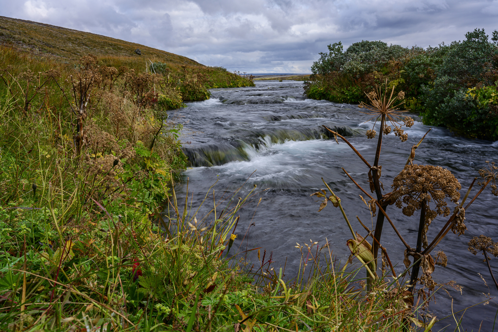 0125 Westliche YtriRangá Foto & Bild dokumentation, natur