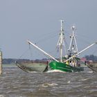 014 - 20170911 - Fischkutterfahrt - Neuharlingersiel - CS8A5188