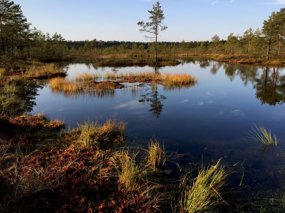 Herbst in Estland von Weitwinkler