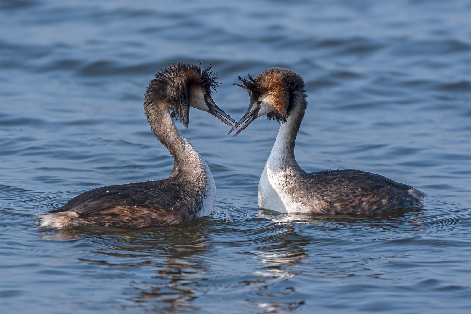 014_Steinhude / Steinhuder Meer