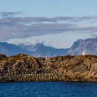 015 - 20180523 - Hurtigruten - Sandnessjøen-Stokmarkes - _U8A3411