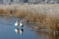 016-20240120 - Bad Buchau-Federsee - _R7L5321-Bearbeitet