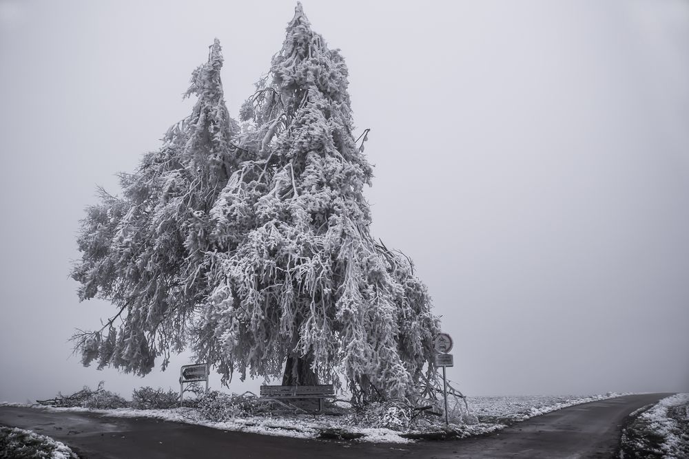 Schwäbischer Winter von Dieter Seiler 