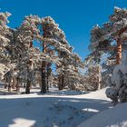 018 Sierra de Guadarrama, Madrid